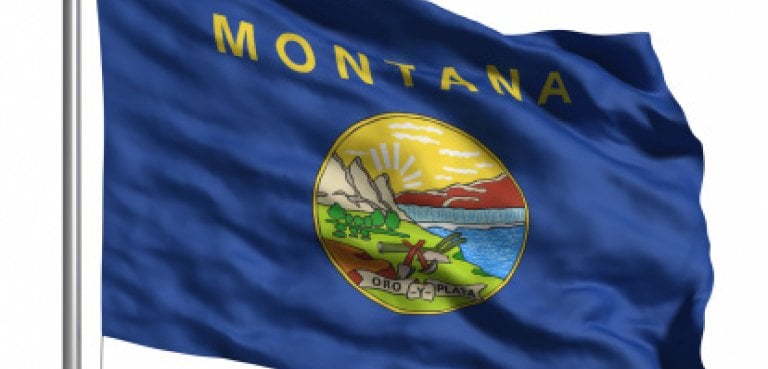 Montana Driver's License Practice Test 3