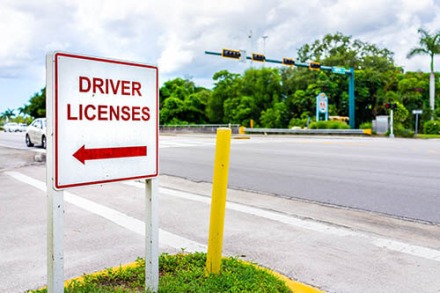 Drivers License Renewal