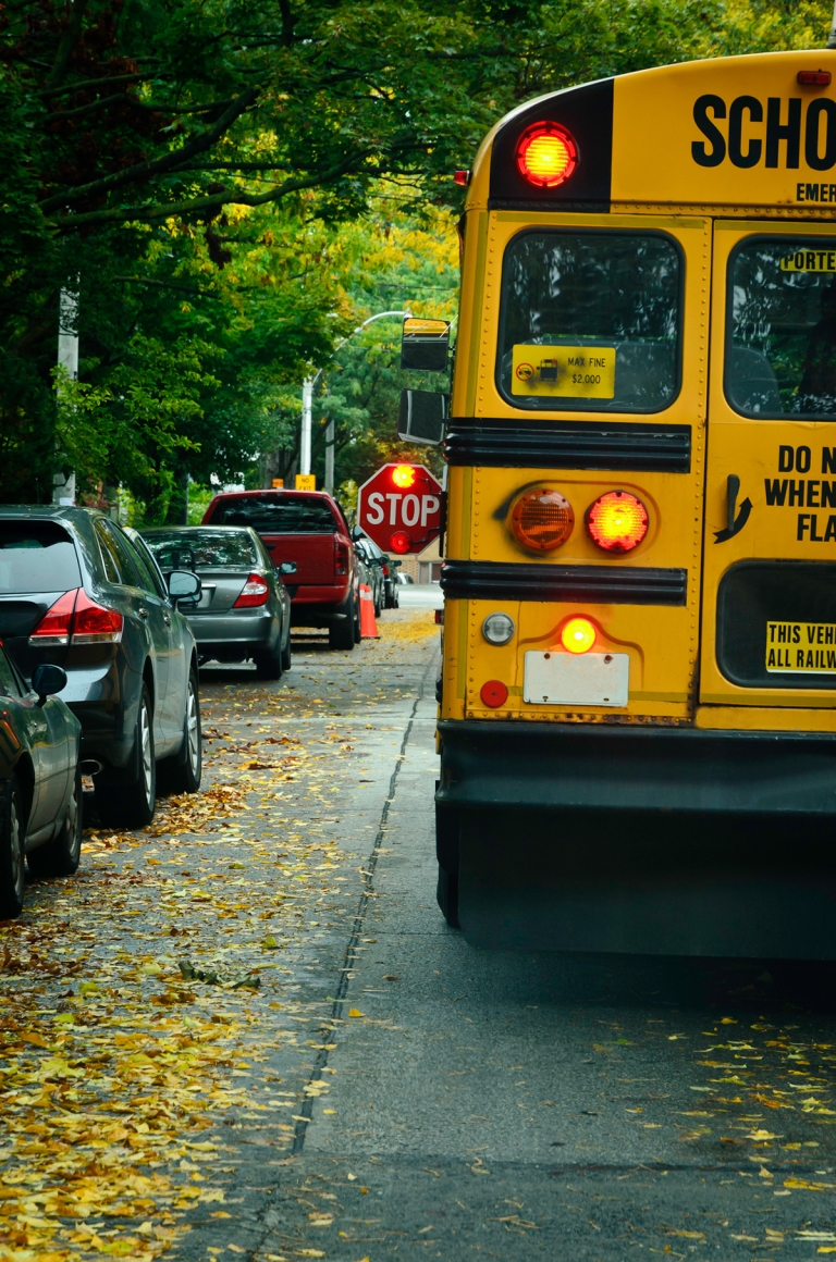 A School bus in the street with it's stop arm out. 