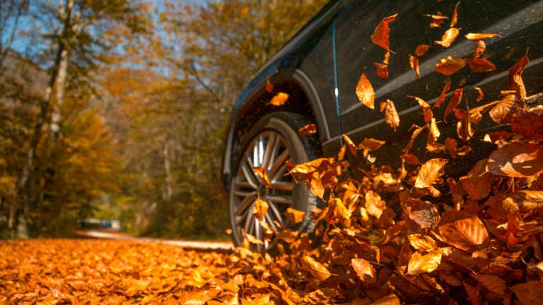 Fall Driving Tips